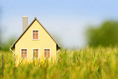 House in green grass over blue sky. Mortgage concept