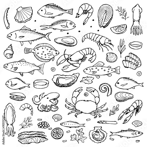Seafood hand drawn doodle elements