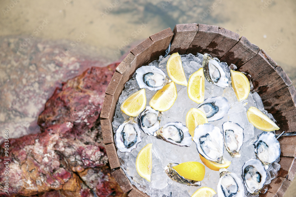 Fresh oysters on ice at the beach during the day Fresh oysters on ice at the beach during the day