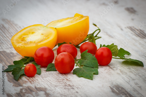 Yellow tomato and cherry tomatoes with green leaves in garden on sunny day