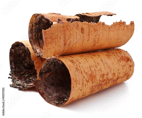 birch bark isolated on a white background.