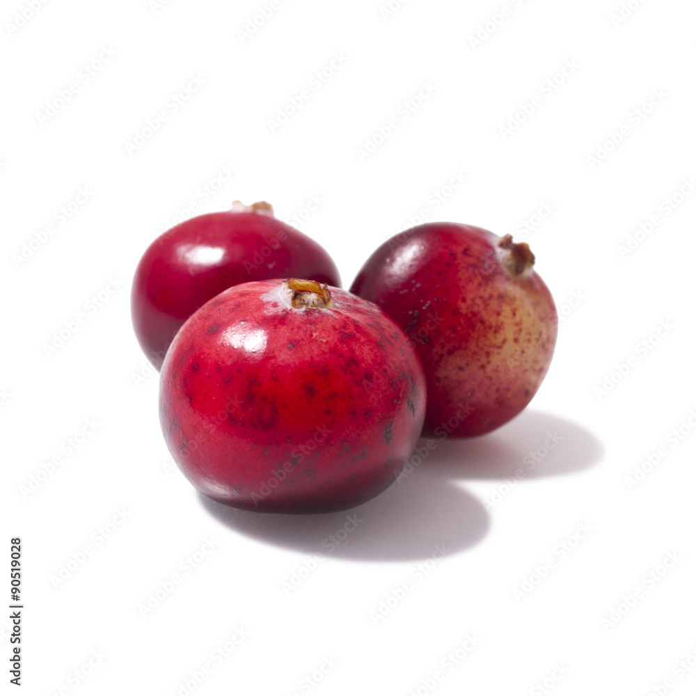 cranberries isolated close up macro shot isolated on white background