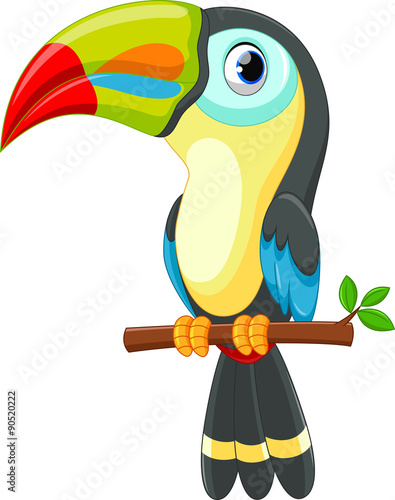 Cute toucan bird cartoon