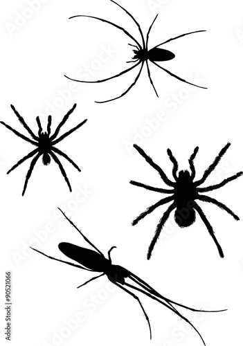 four isolated black spiders illustration