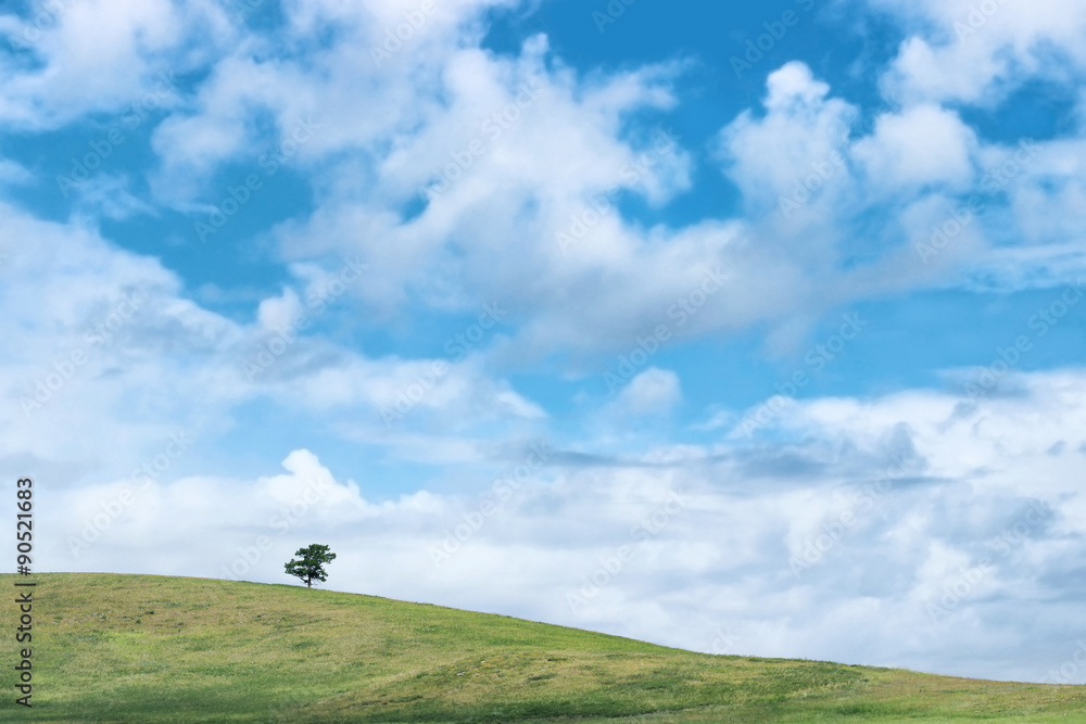 Lonely tree on the green hill. Beautiful blue sky with clouds. Serenity and happiness concept. 