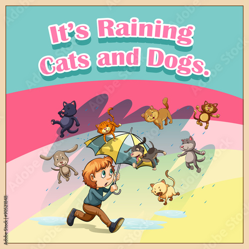 Raining cats and dogs photo