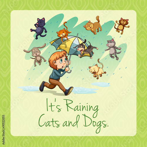 Raining cats and dogs