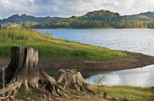 Lake Baroon Scene with Tree Stump photo