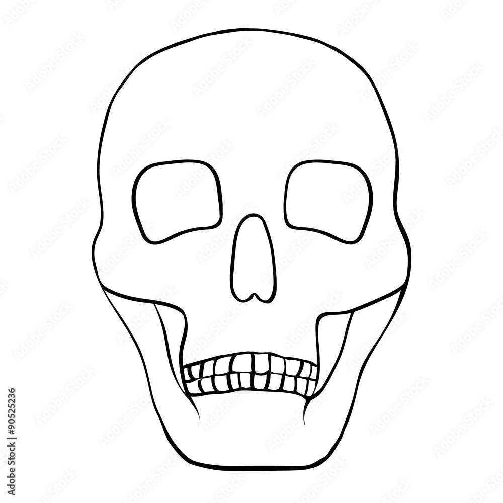 Illustration of a human skull. Illustration of a human skull.