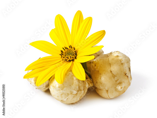 Cuadro en lienzo Jerusalem artichoke