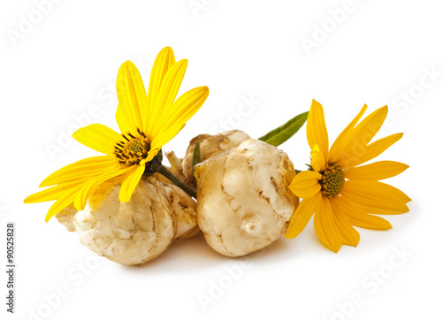 Jerusalem artichoke. Yellow topinambur flowers on a white background 