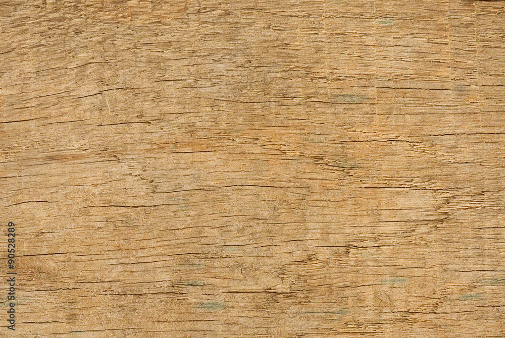 Wooden texture close-up background