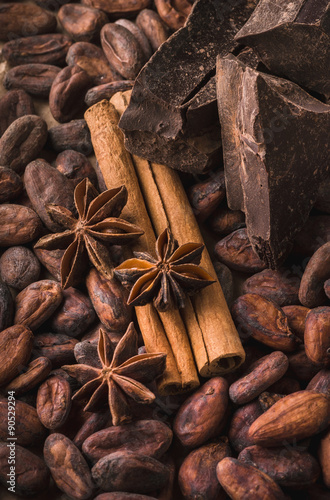 Raw cocoa beans, black chocolate, cinnamon sticks, star anise
