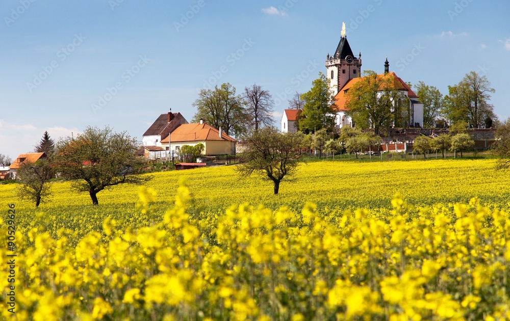 church and golden rapeseed field
