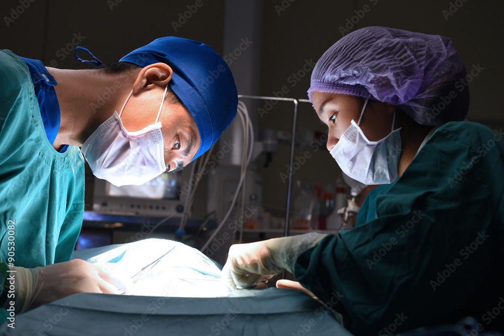 two veterinarian surgeons in operating room two veterinarian surgeons in operating room