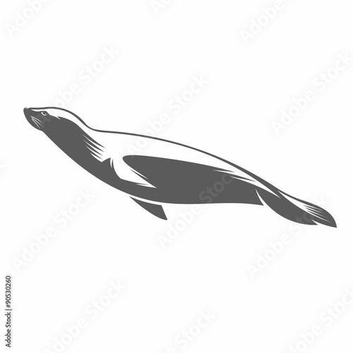Fur seal in water vector illustration / Vector illustration, Fur seal, Arctic, Sea animal, Diving, Tattoo