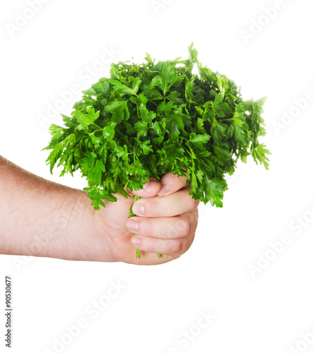 man's hand holding a bunch of parsley