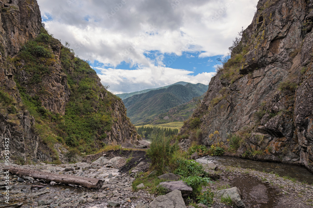 Summer Landscape: Mountain River Flowing along Little Canyon