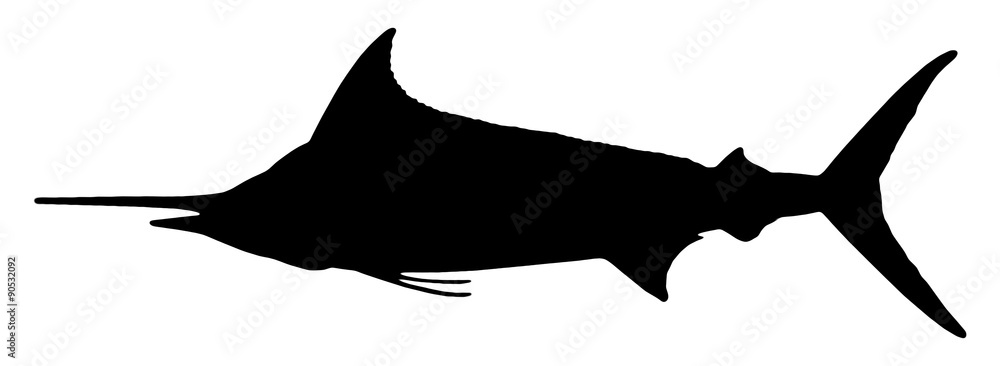 カジキ メカジキ Stock イラスト Adobe Stock