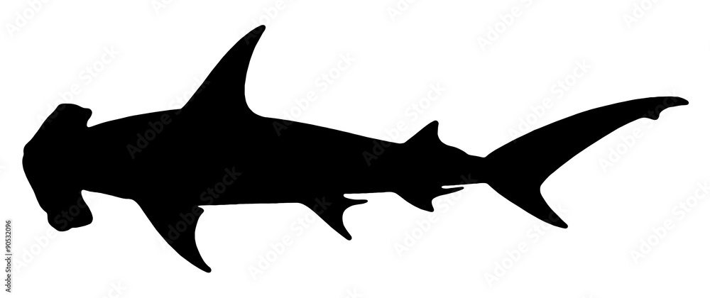 サメ シュモクザメ Stock イラスト Adobe Stock