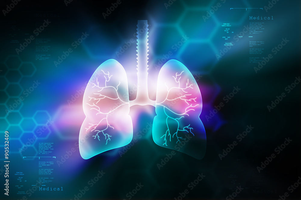 Human lungs in color background Stock Illustration | Adobe Stock