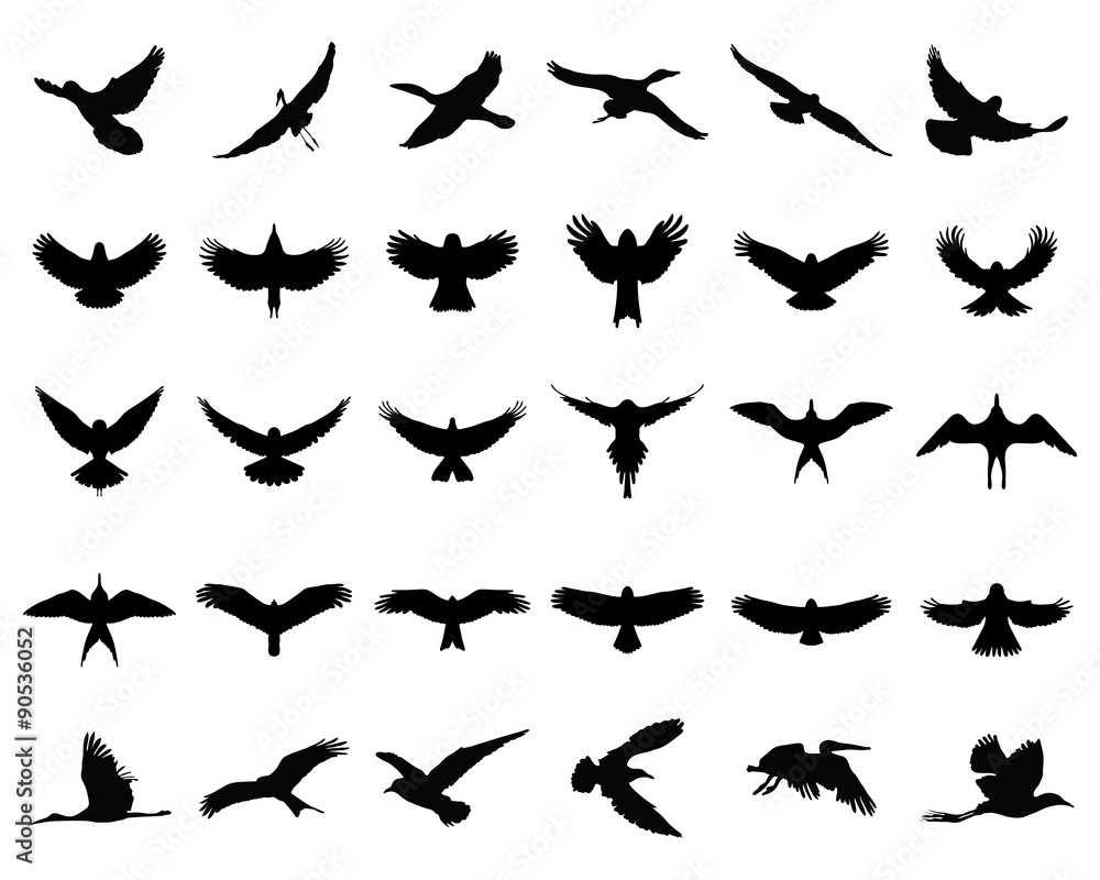 Black silhouettes of birds in flight, vector Black silhouettes of birds in flight, vector