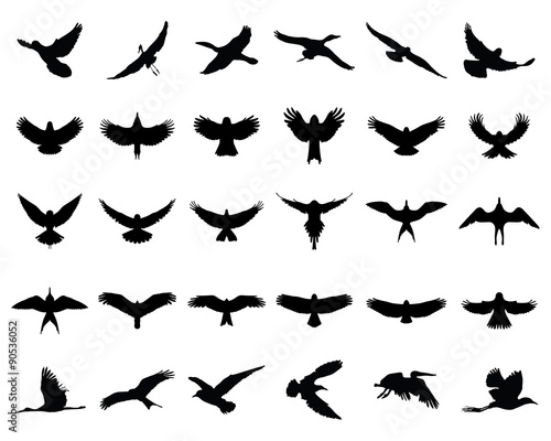 Black silhouettes of birds in flight  vector 