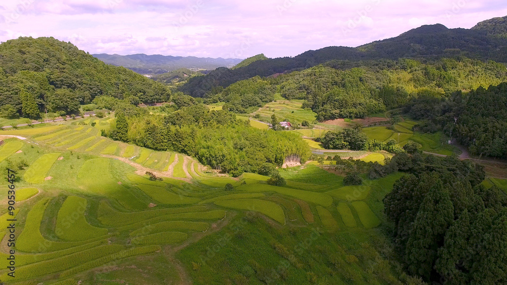 空撮 千葉 大山千枚田