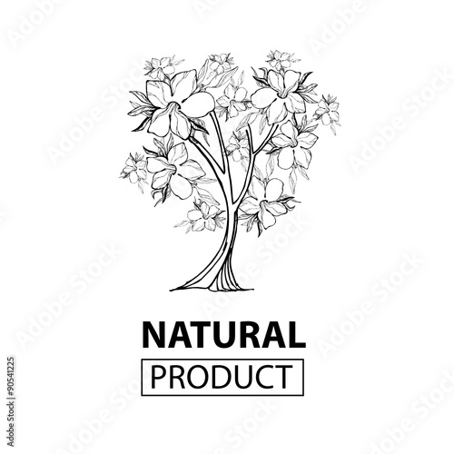 Vector design elements for organic natural logo