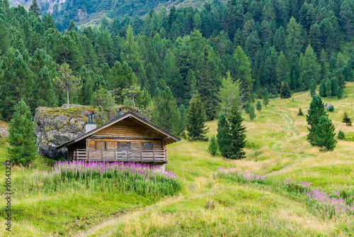 Quadro em tela Mountain hut