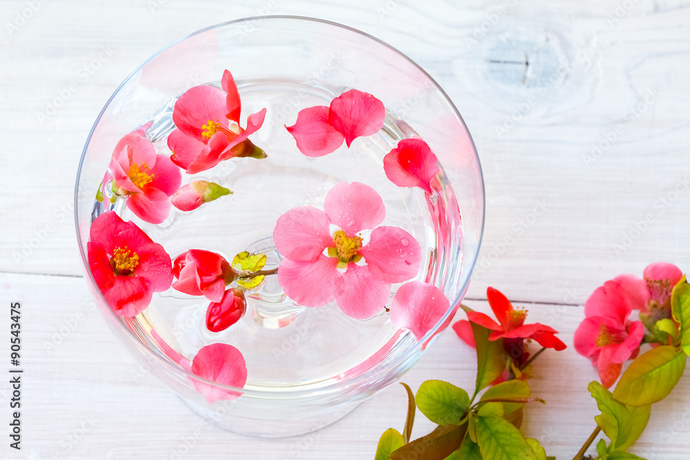 Red petals in bowl full of water - spa concept Red petals in bowl full of water - spa concept