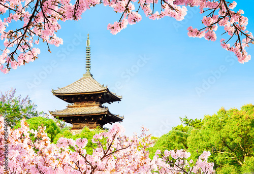 Japan. Kyoto Ninna-ji temple pagoda in april spring.Famous spot for cherry blossoms.UNESCO world heritage. photo