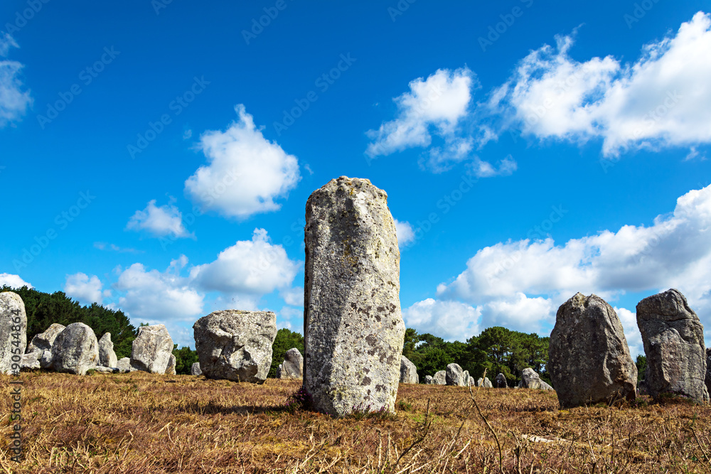 Menhirs alignment. in Carnac, Britain, France