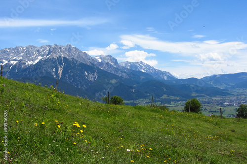 Alpenwiese im Sommer