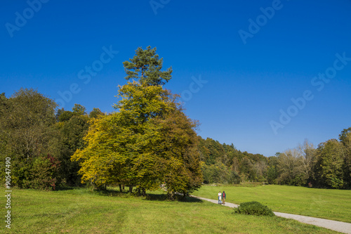 Herbstwanderung durch die Maisinger Schlucht nahe München photo