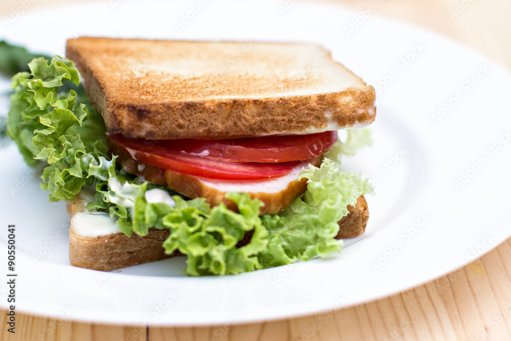 Sandwich on the table Sandwich on the table