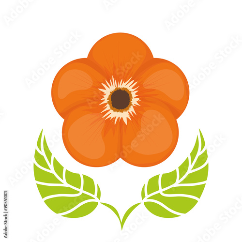 Colors flower over isolated background