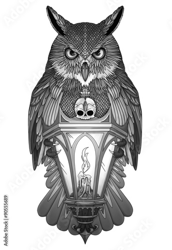 Owl - Gufo