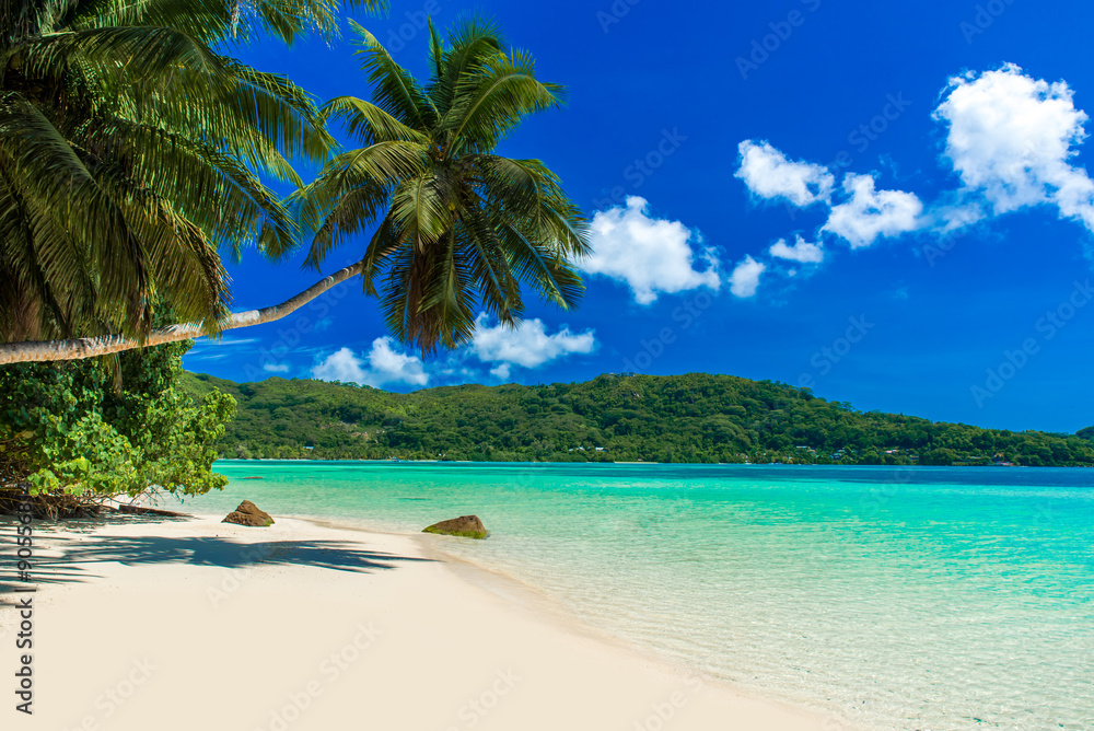 Anse a La Mouche - Paradise beach on tropical island in Seychelles, Mahe