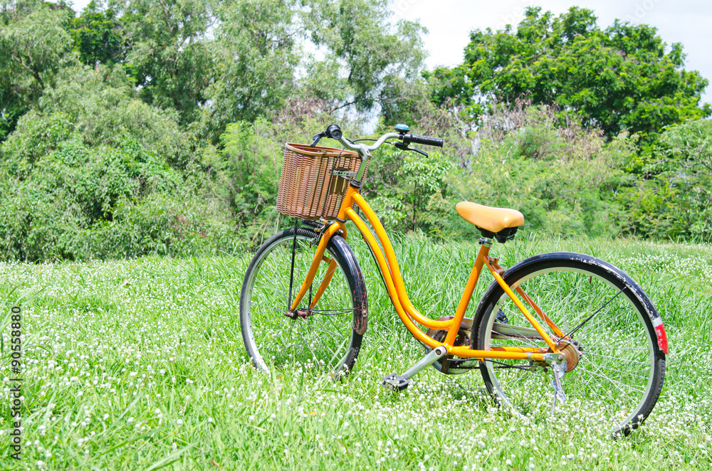 Fototapeta premium bicycle in green park