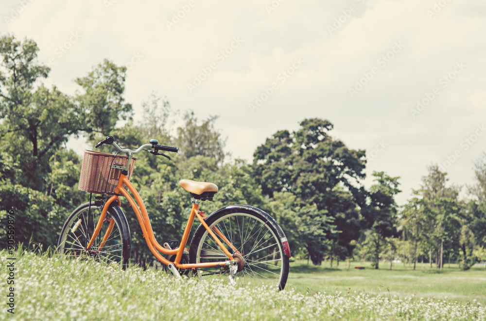 Naklejka premium bicycle in green park