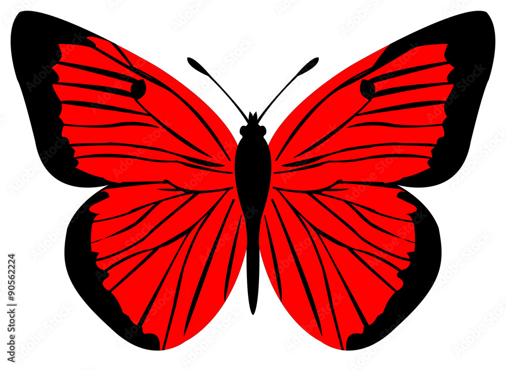 Red Butterfly Design red butterfly Stock Vector | Adobe Stock