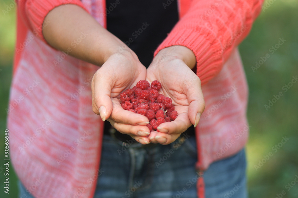 Wild raspberries in the palms Wild raspberries in the palms