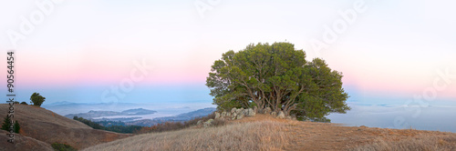 Photography Sunset view from the top of Mt Tam in Marin County, California