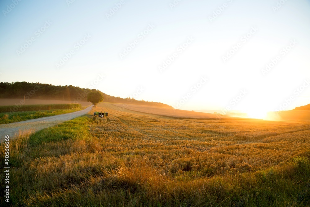 Obraz premium Sunset over a harvested field