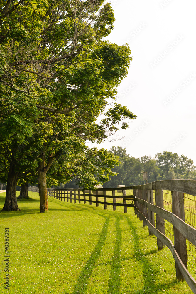 wood fence, horse farm in countryside. wood fence, horse farm in countryside.