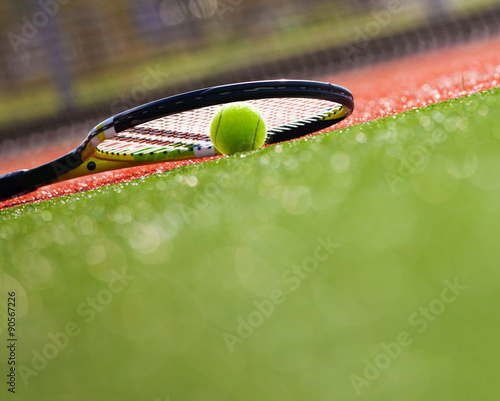 Tennis ball on the court © bushev