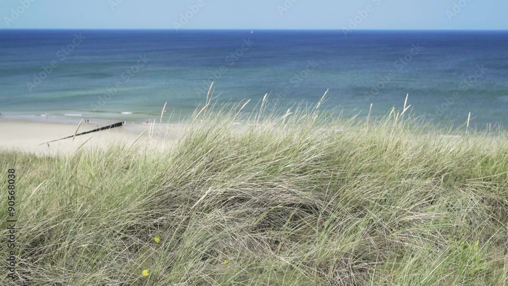 Dünen Meer Traumurlaub