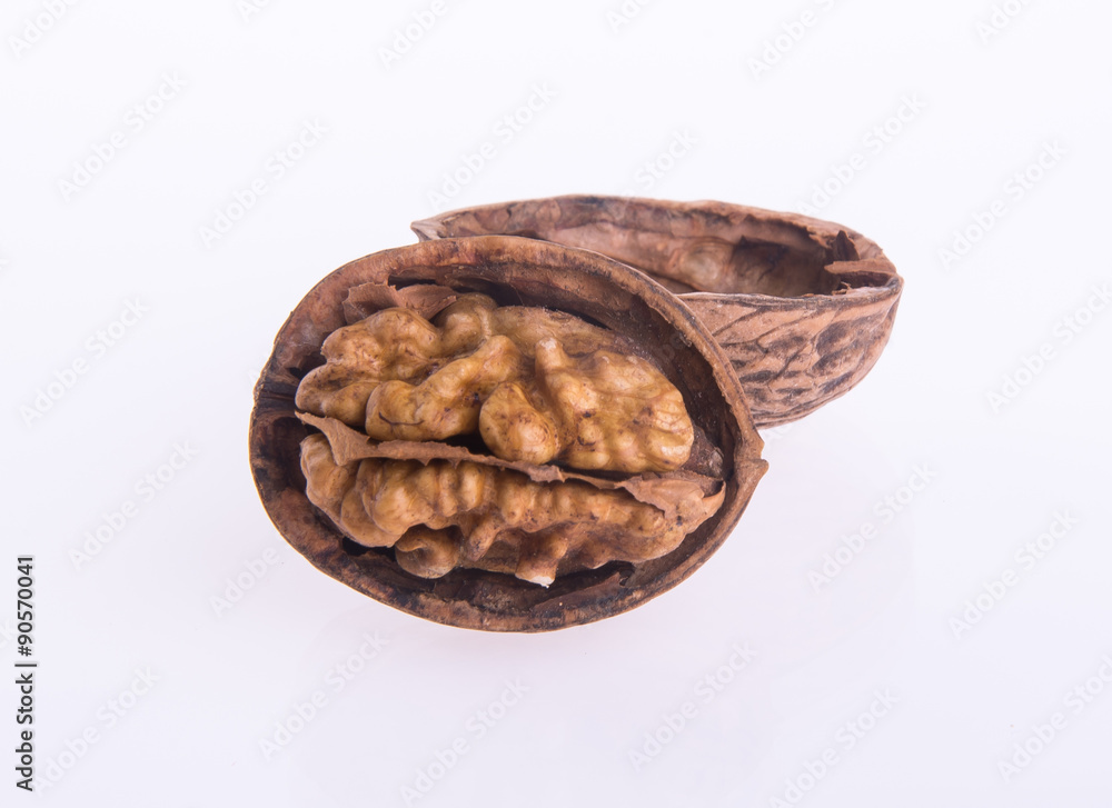 nut. walnut on the background nut. walnut on the background