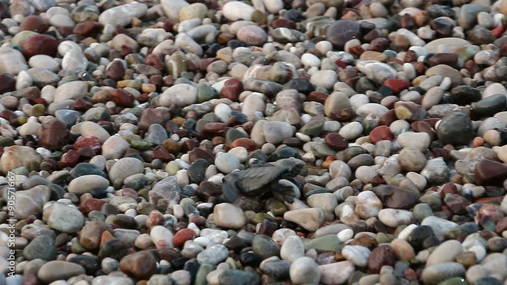 Turtle baby crawls to the sea. Cirali, Turkey. Turtle baby crawls to the sea. Cirali, Turkey.